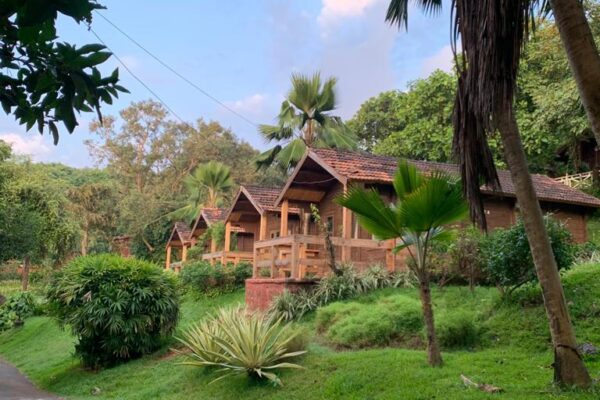 WhatsApp Image 2022-07-25 at 11.42.43 AM (1)