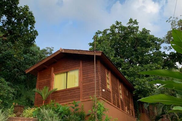 WhatsApp Image 2022-07-25 at 11.43.11 AM (1)