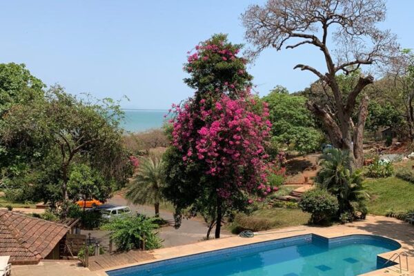 WhatsApp Image 2022-07-25 at 11.43.11 AM